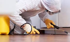 Emergency Pest Control Services in Round Lake Heights, IL